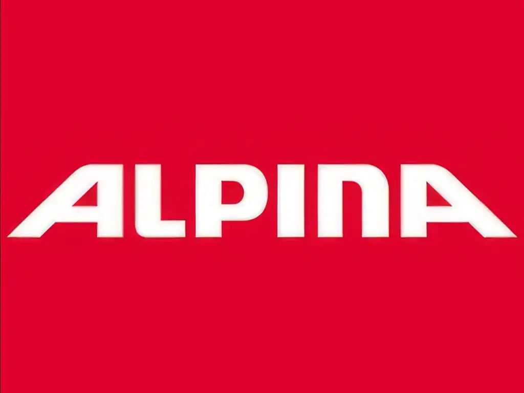 Alpina helmets goggles