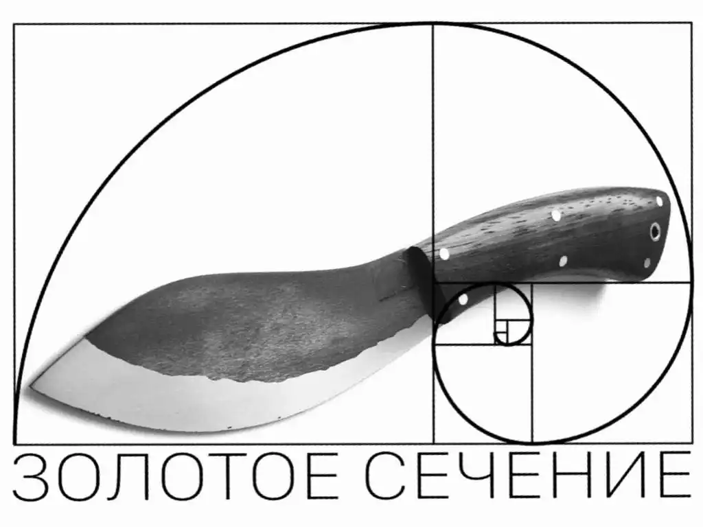 Золотое Сечение