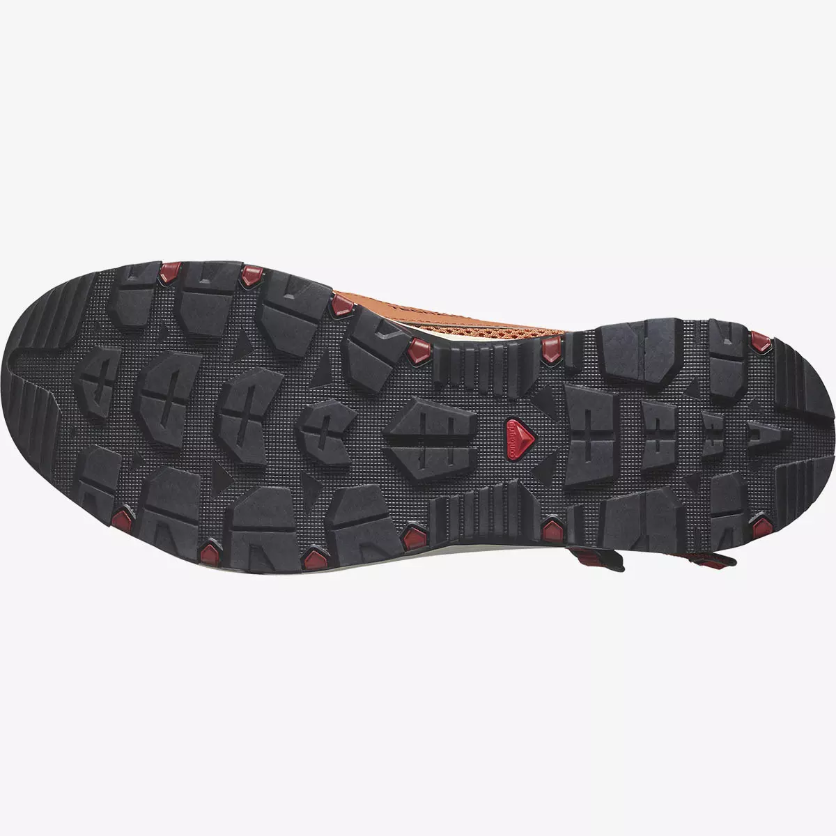 TECHAMPHIBIAN 5 (Spice Route/Burnt Henna/Black) TECHAMPHIBIAN 5 (Spice Route/Burnt Henna/Black)